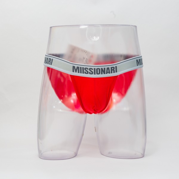 Lenzing Micro-Modal Men's Brief Underwear Manufacturer suppliers